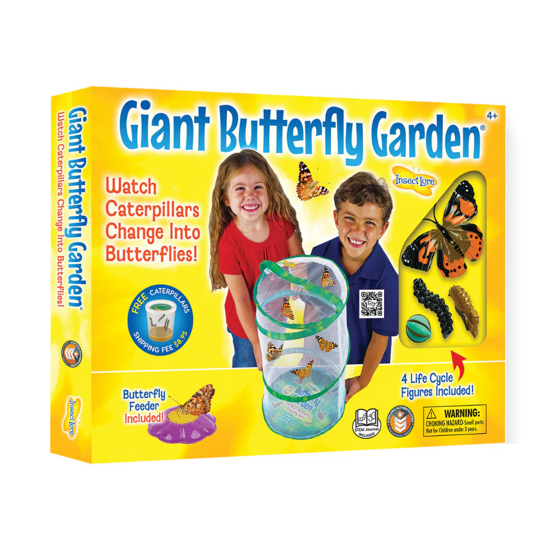 Butterfly garden