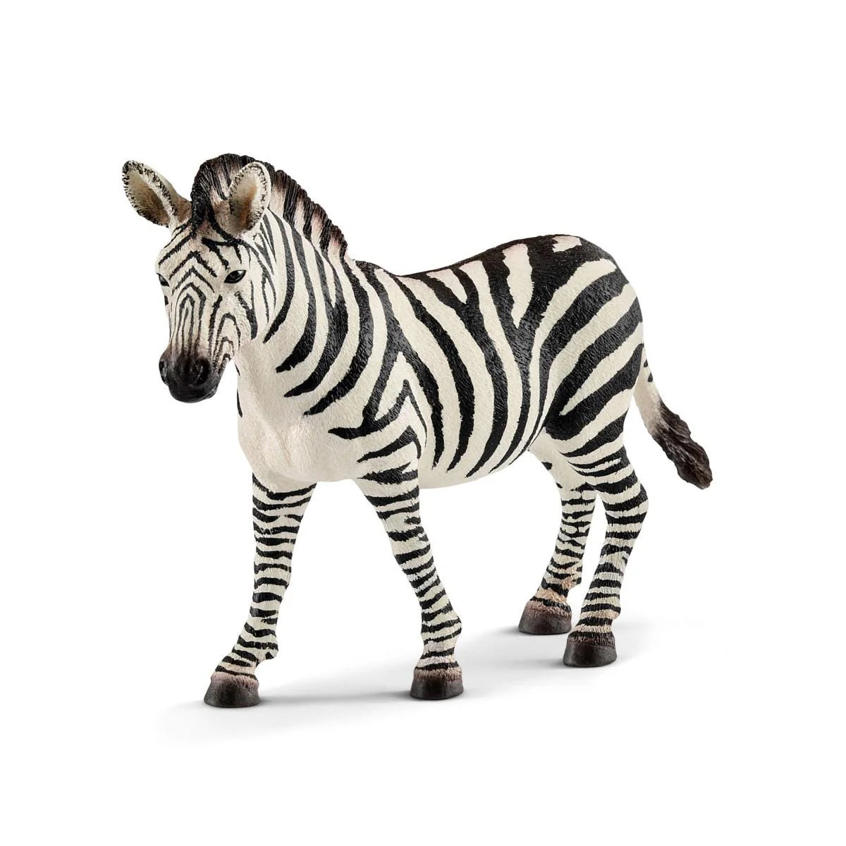 Zebra (Female)