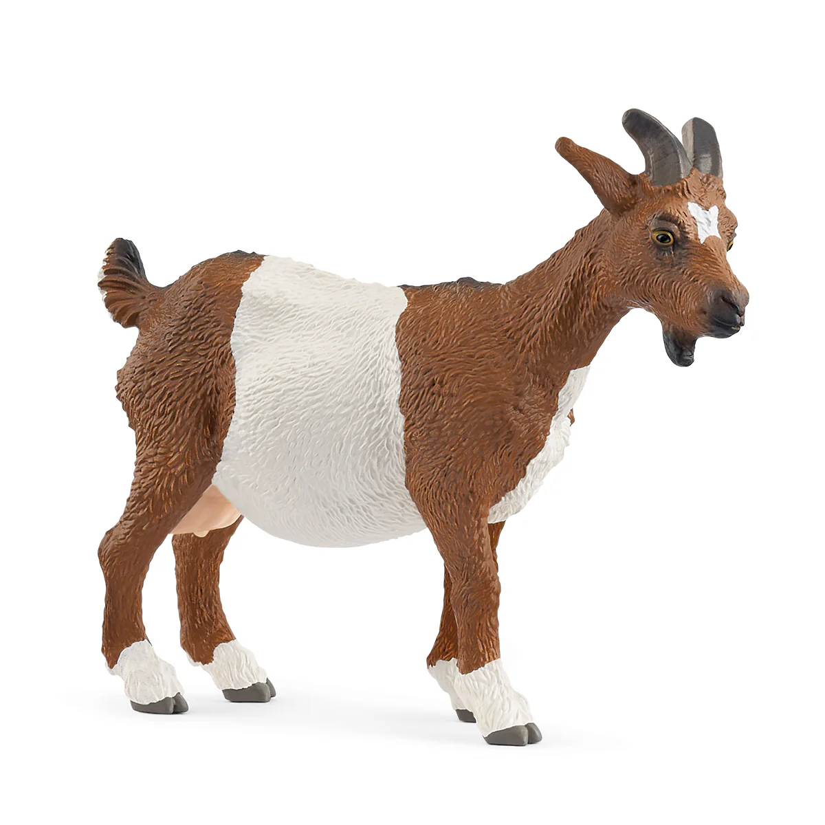 Goat (White and Brown)