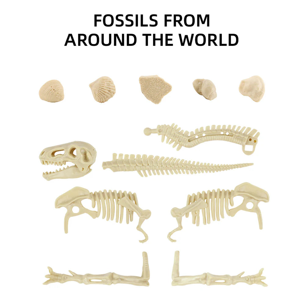 T-Rex Dig Kit