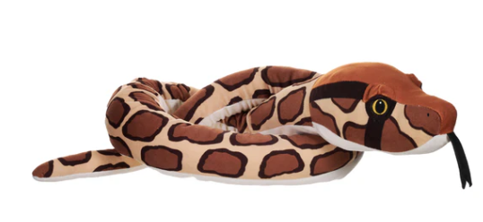 Burmese Python Snake