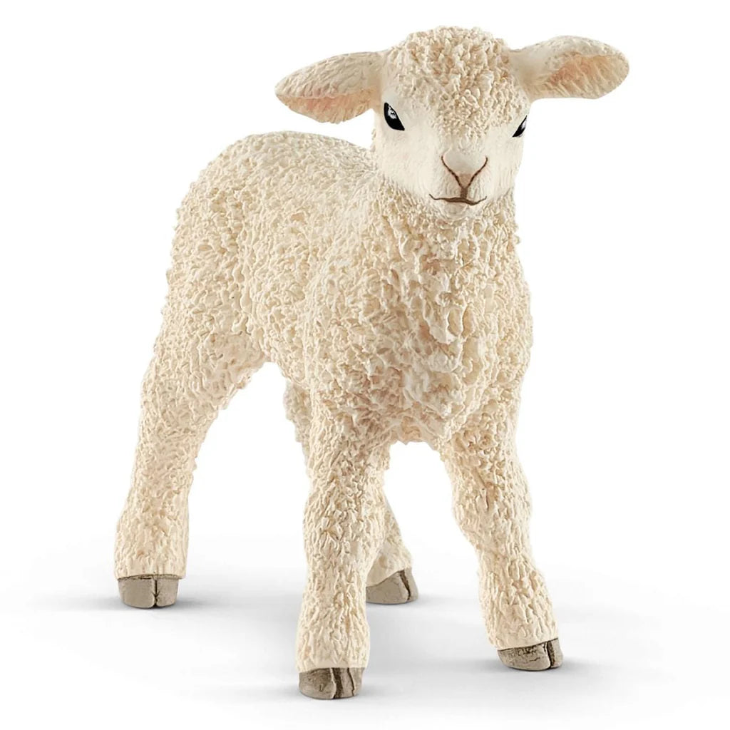 Lamb (Retired)