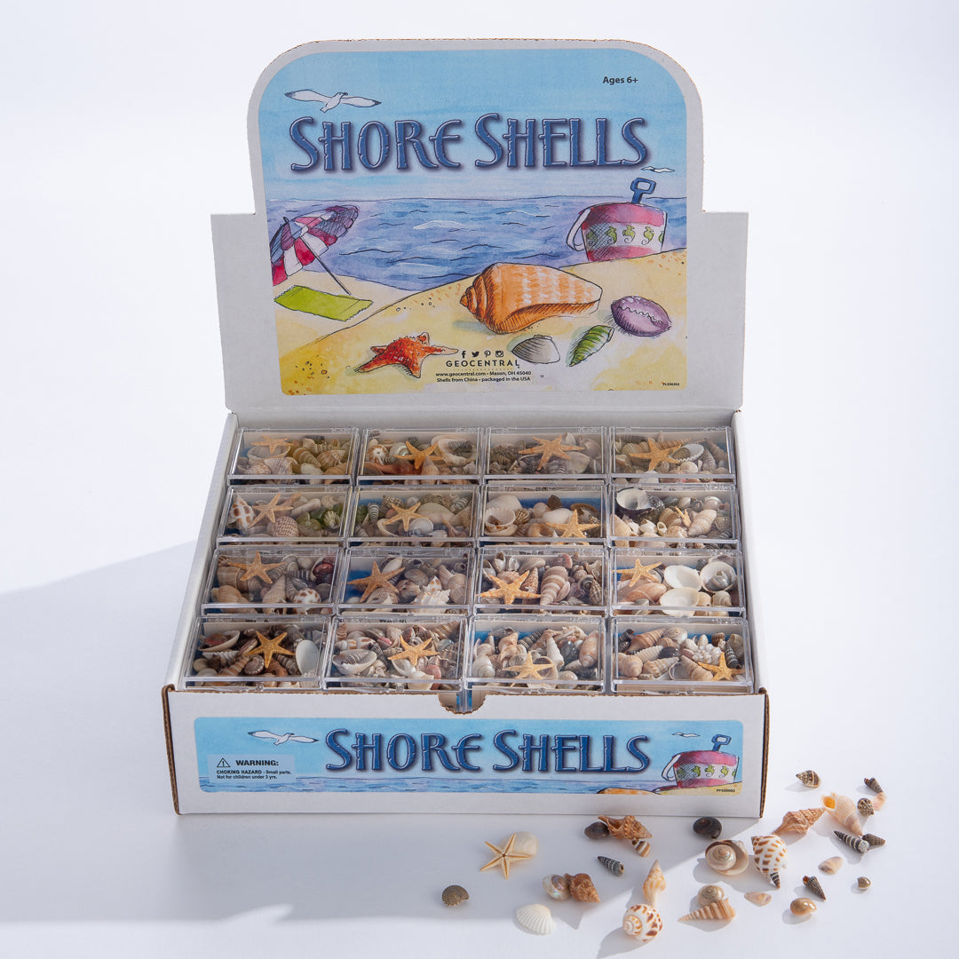 Sea Shells (Boxed)