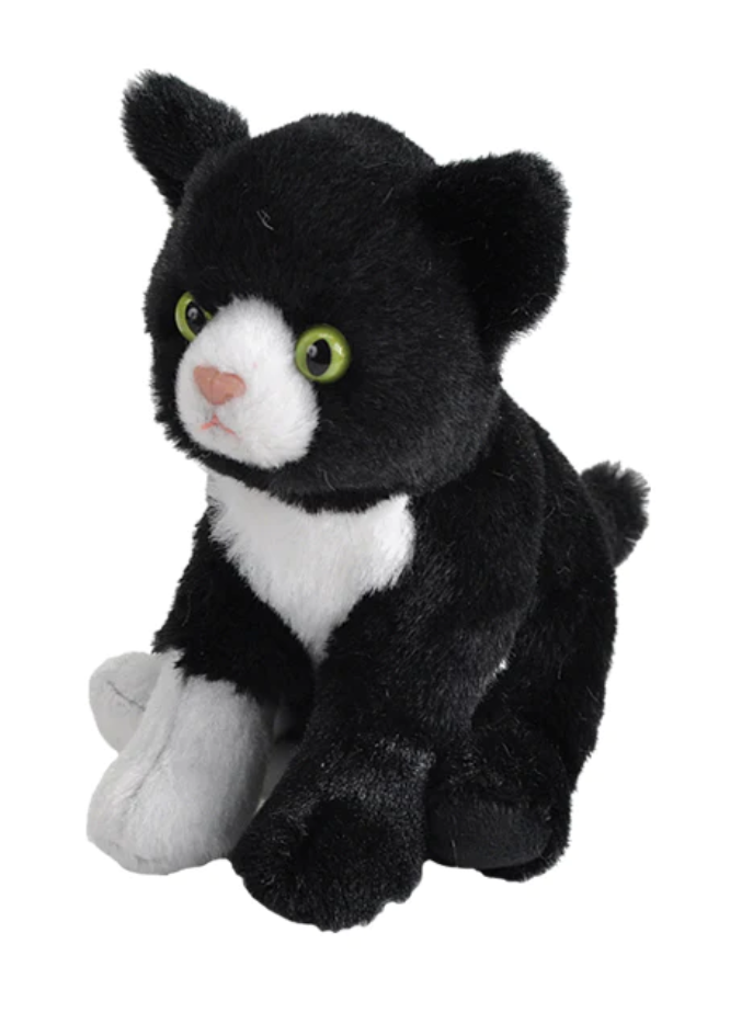 Pocketkins Tuxedo Cat