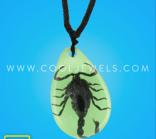 Glow In the Dark Scorpion Necklace