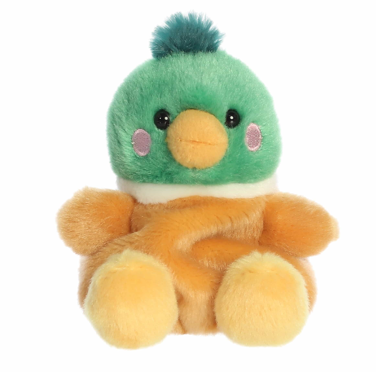 Puddles - Mallard Duck