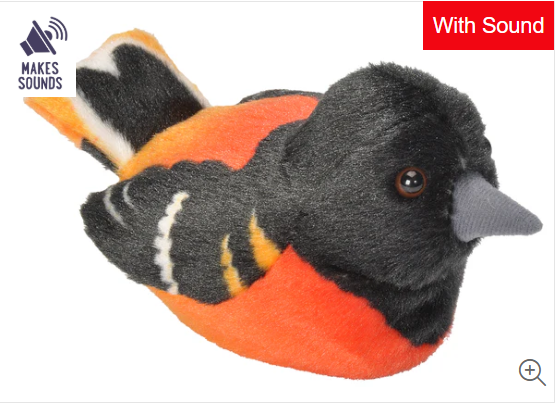 Audubon Baltimore Oriole