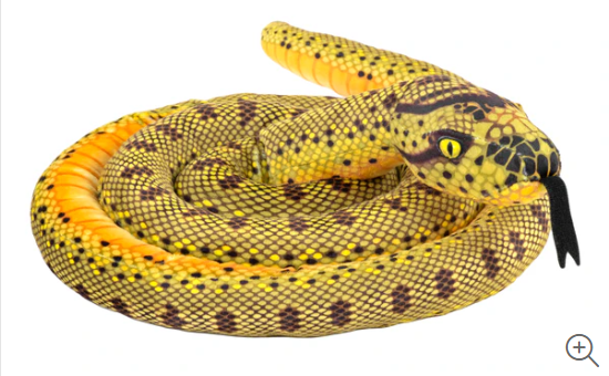 Living Earth Snakes Anaconda