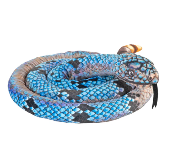Living Earth Snakes Blue Rock Rattlesnake