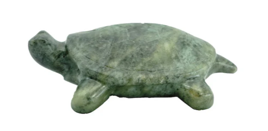 Turtle Carving Kit