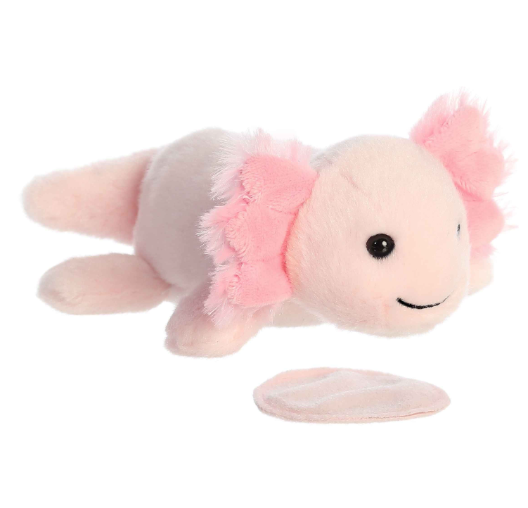 Axel - Axolotl