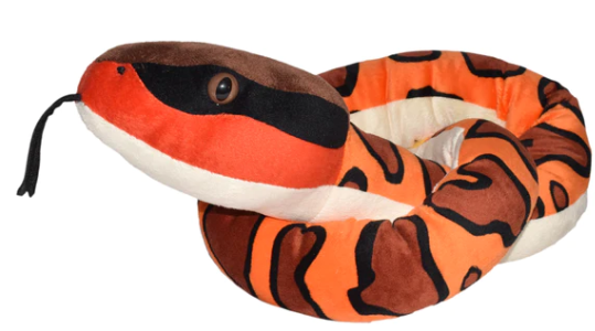 Snake Eastern Cottonmouth II