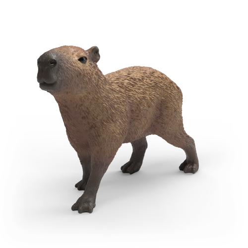 Capybara