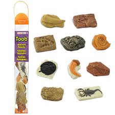 Ancient Fossils TOOB