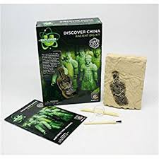 China Discover Dig Kit