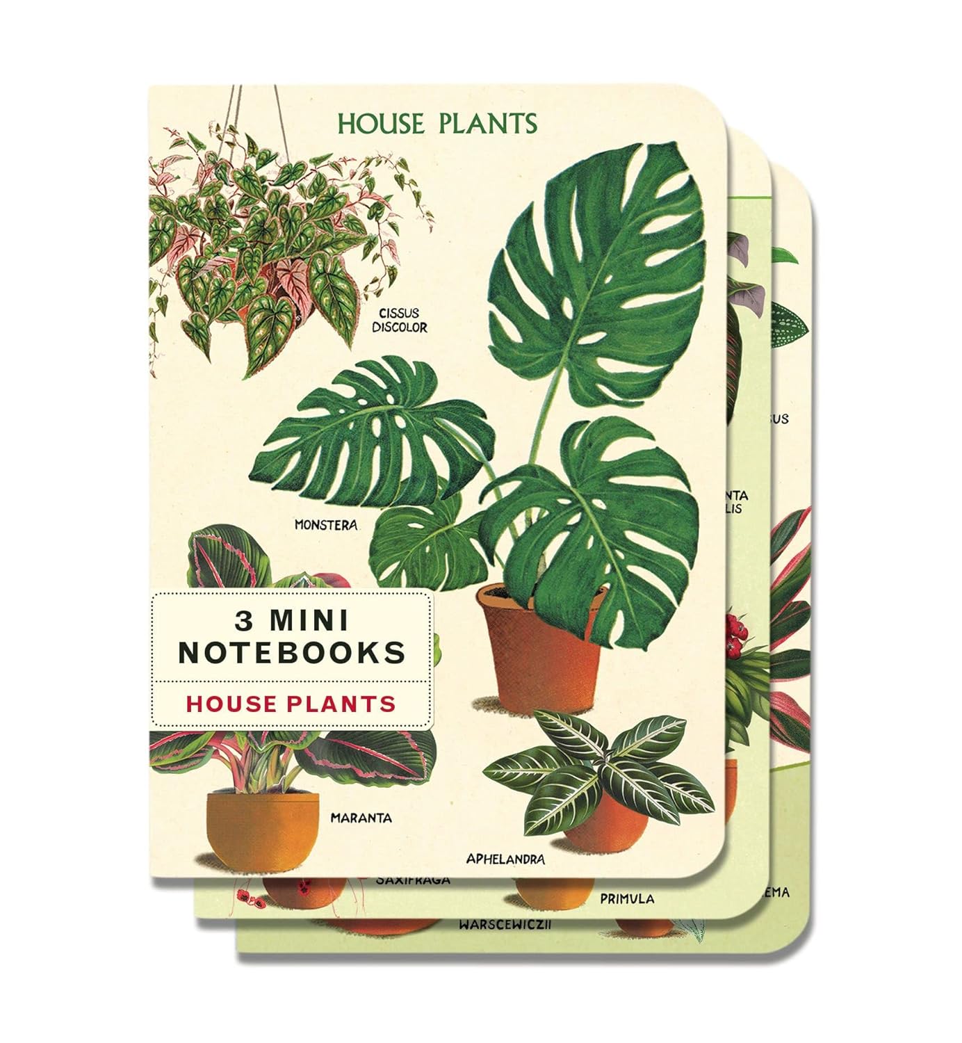 Cavallini Small Notebook- House Plants