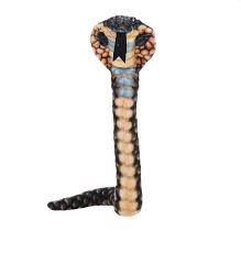 Coilkins Hooded Cobra