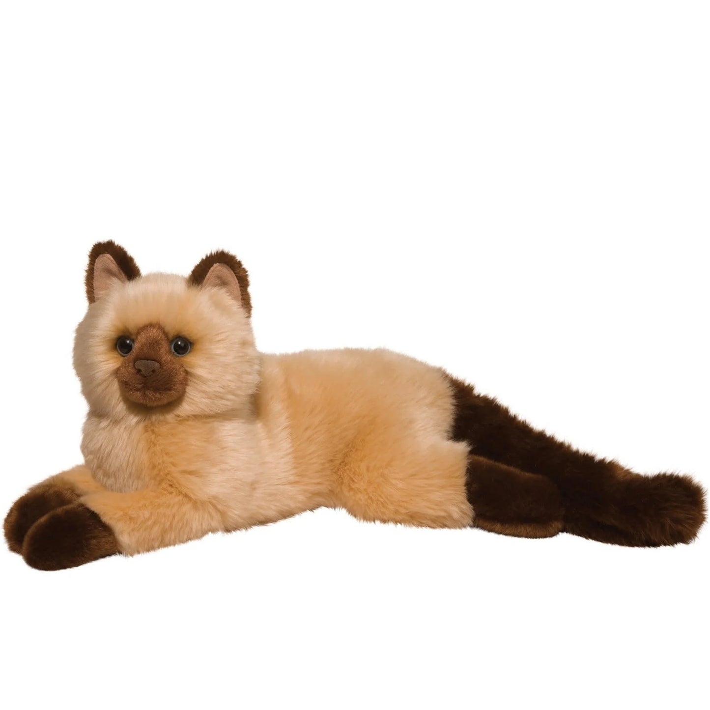 Sebastian Himalayan Cat