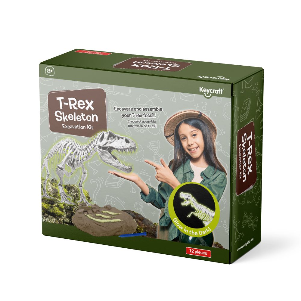 T-Rex Skeleton Excavation Kit
