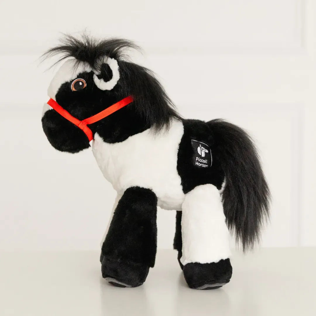 Piccoli: Salvador The White and Black Western Paint Horse