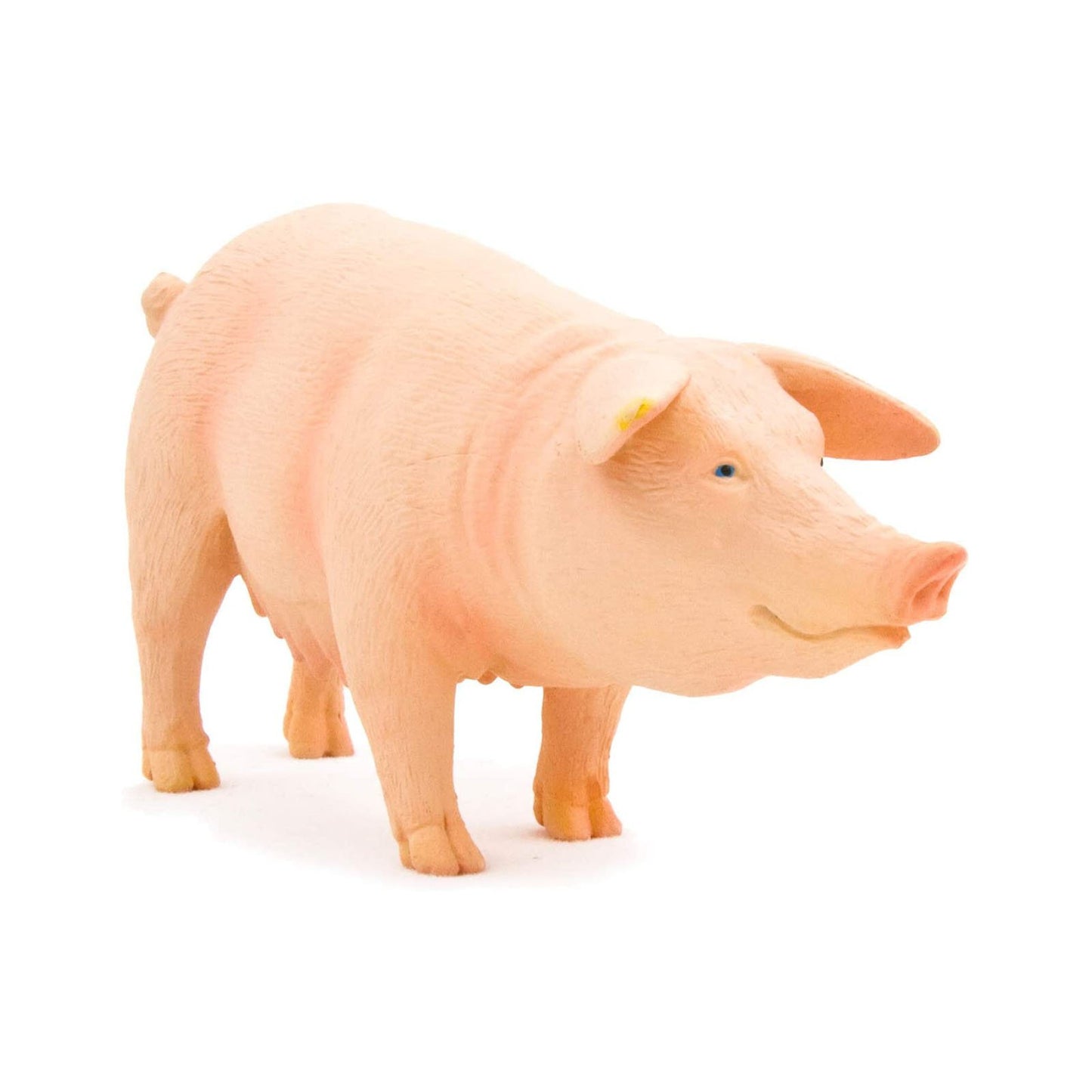 Mojo Pig (Sow)