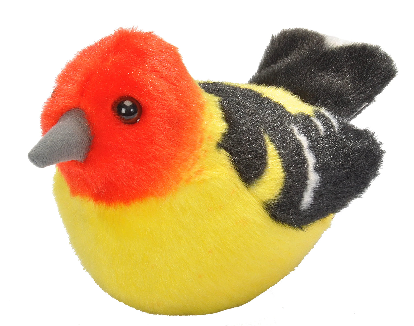 Audubon Western Tanager
