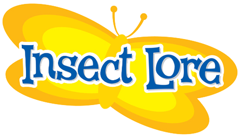 Insect Lore