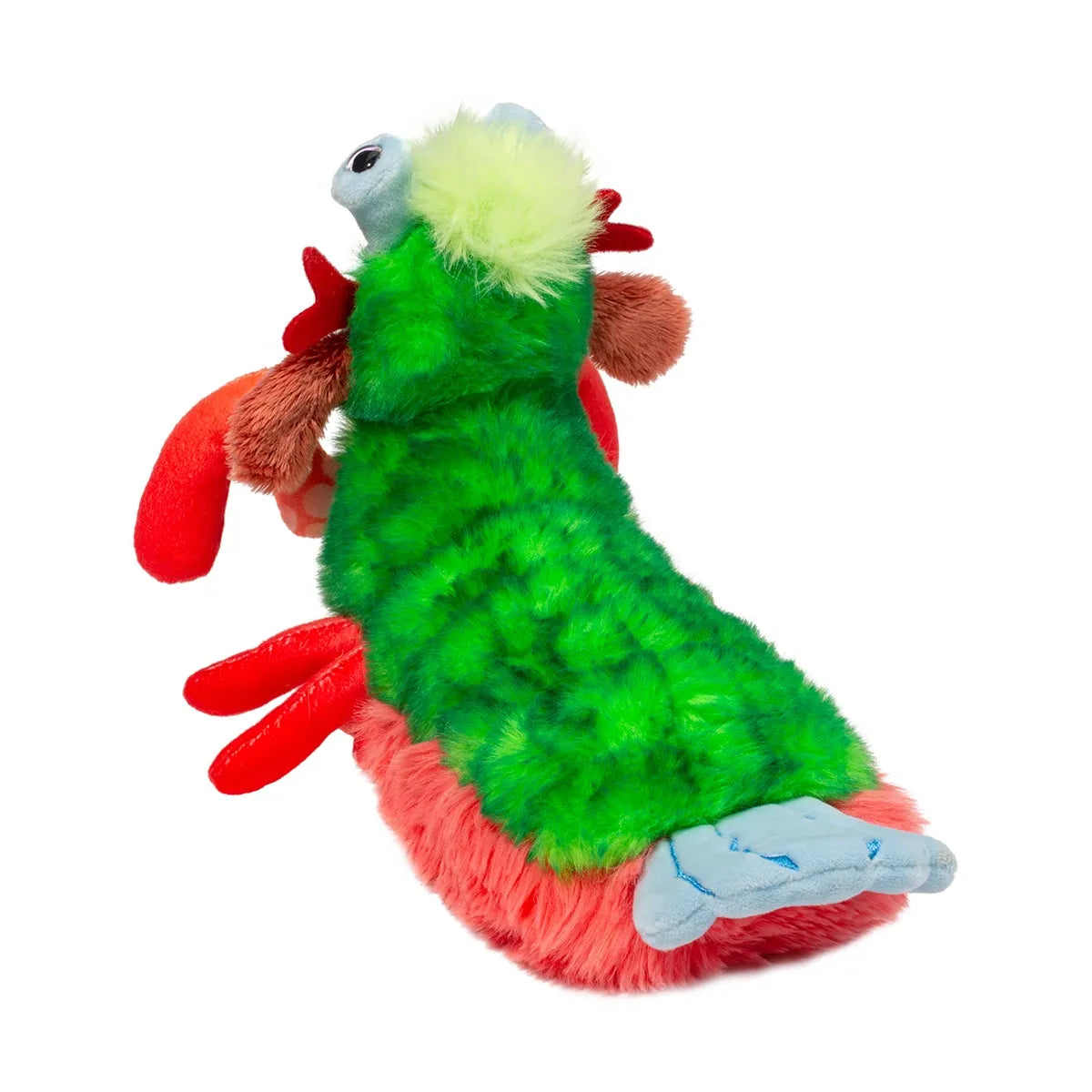 Punchie Mantis Shrimp