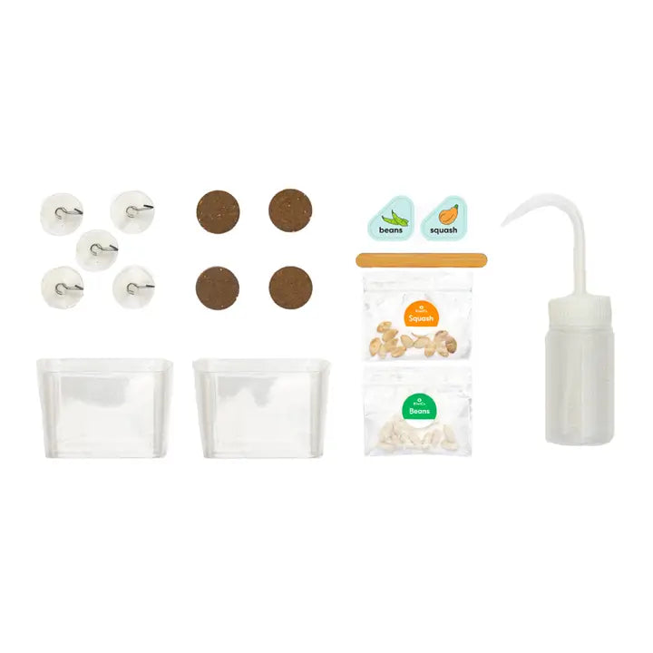Window Garden Kit for Kids