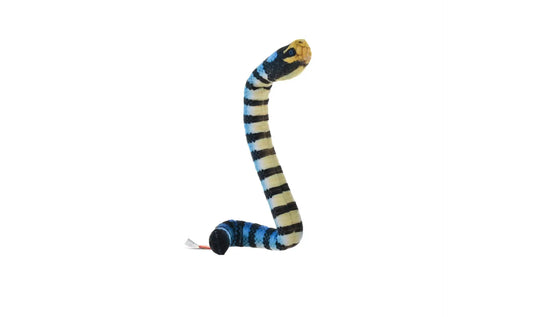 Coilkins Yellow Bellied Sea Snake