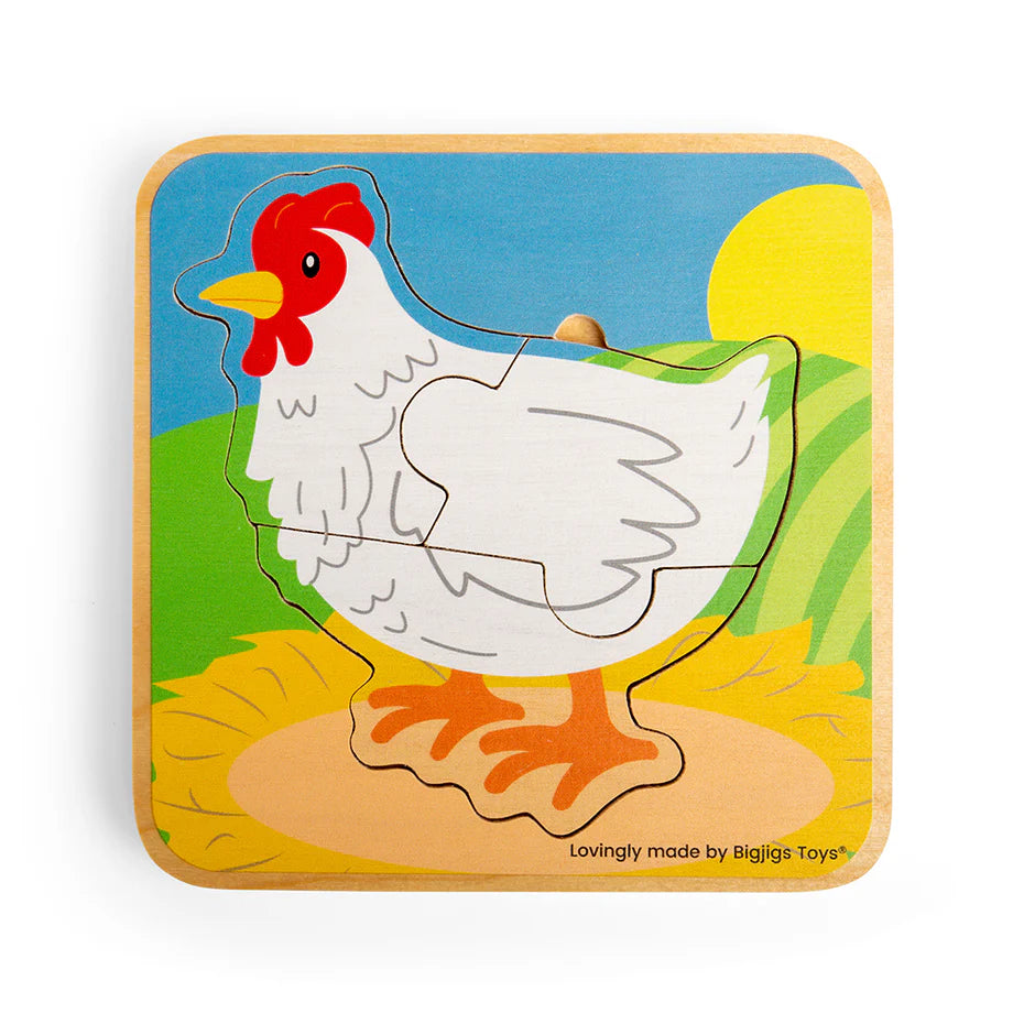 Chicken Lifecycle Puzzle