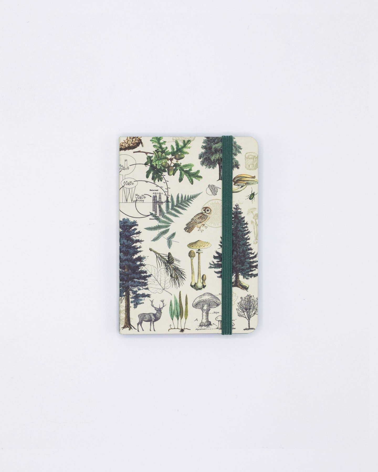 Into the Forest Observation Softcover Notebook