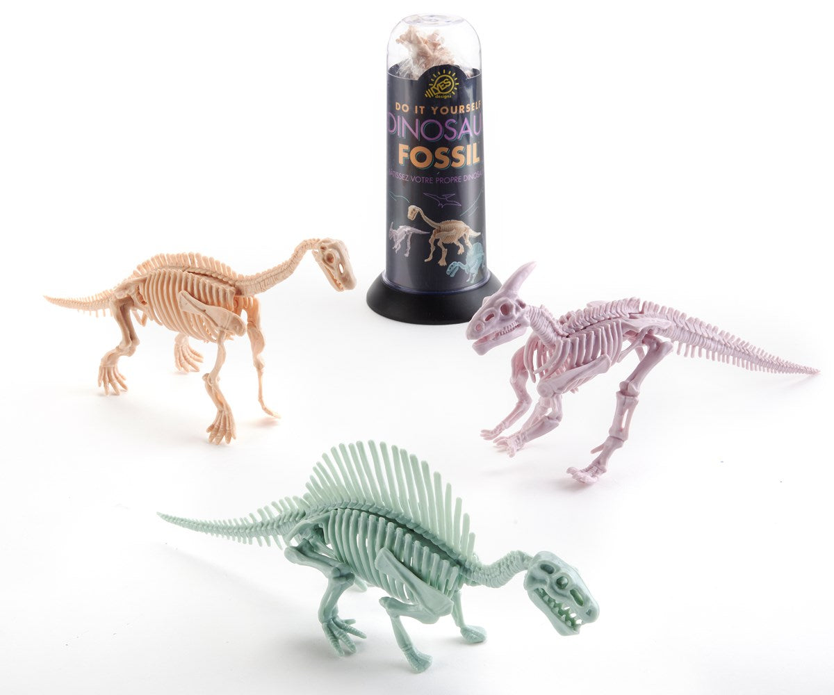 DIY Dinosaur Fossil Kit
