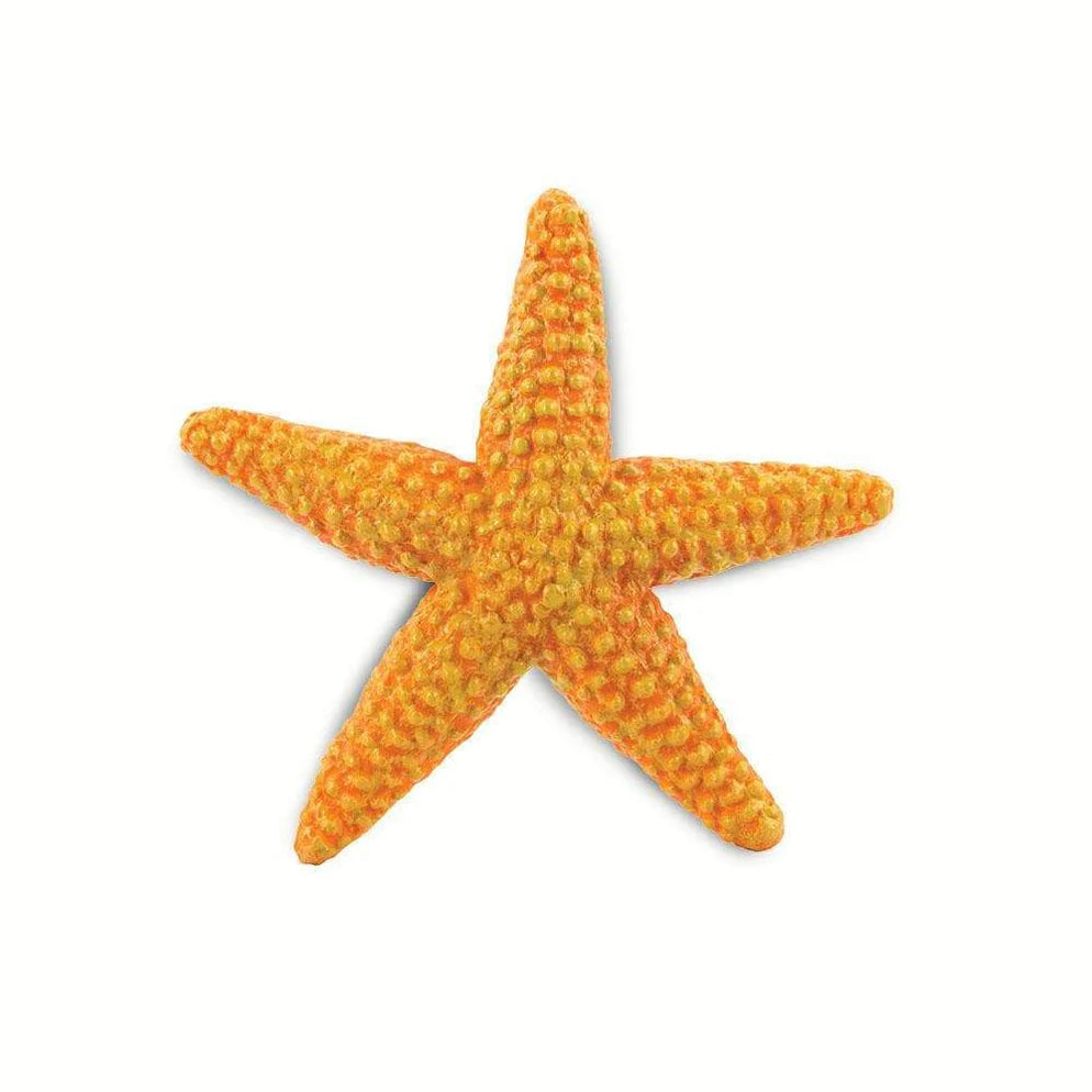 Starfish