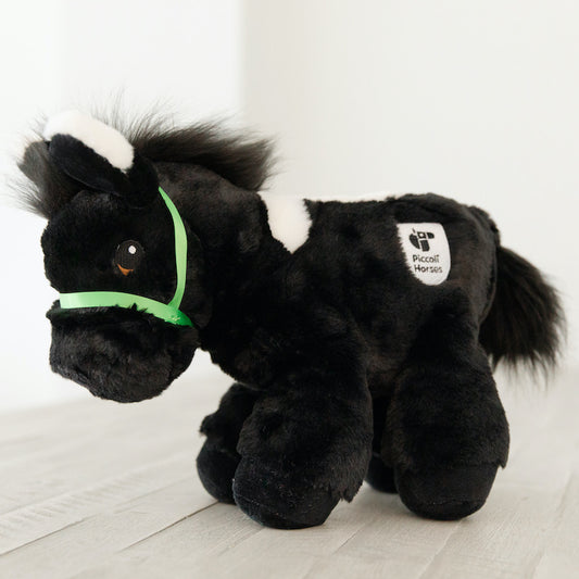 Black Donkey (Topher)