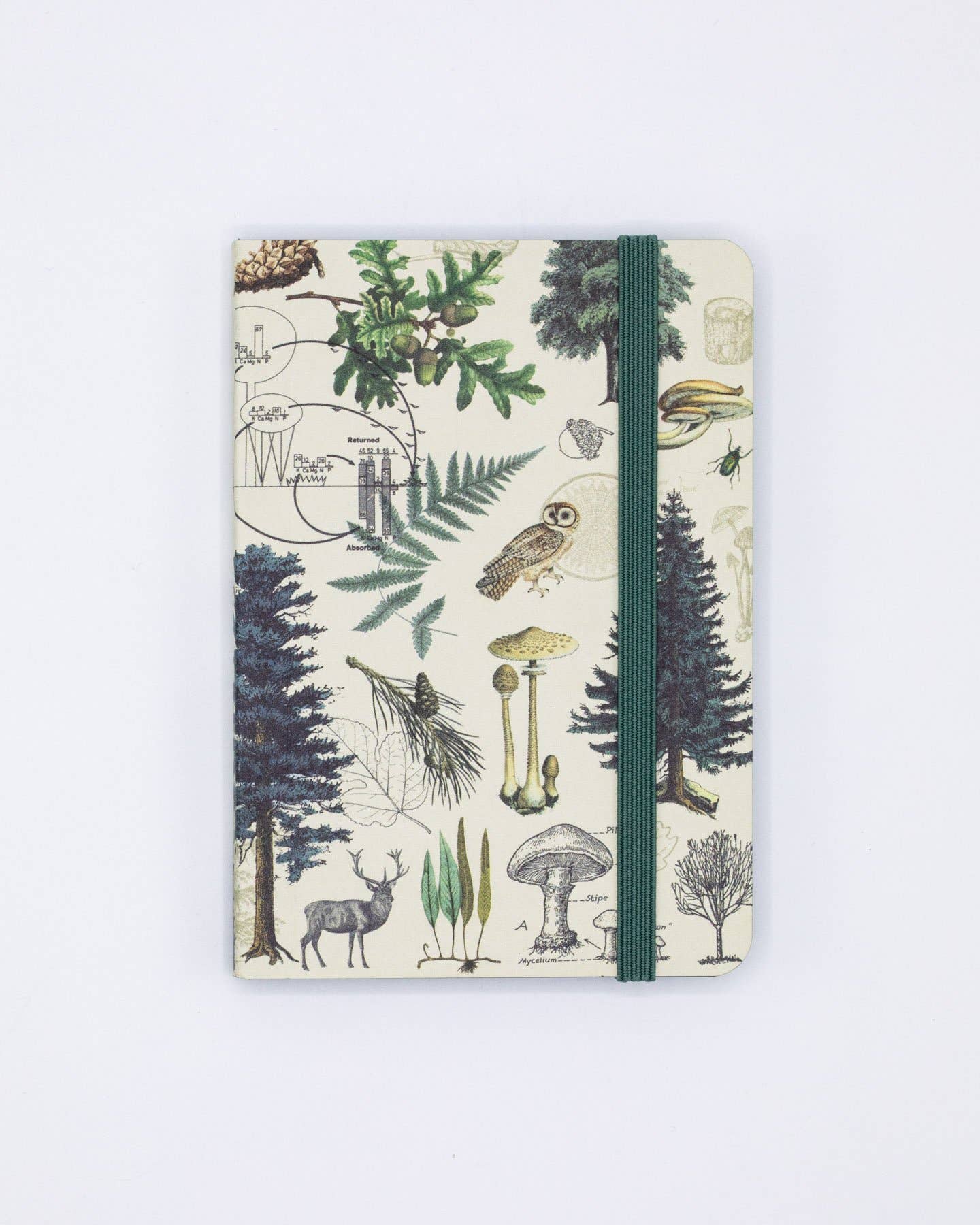 Into the Forest Observation Softcover Notebook