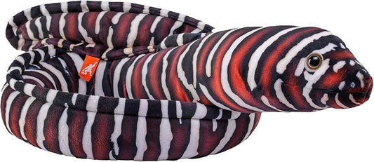 Coilkins Zebra Moray Eel