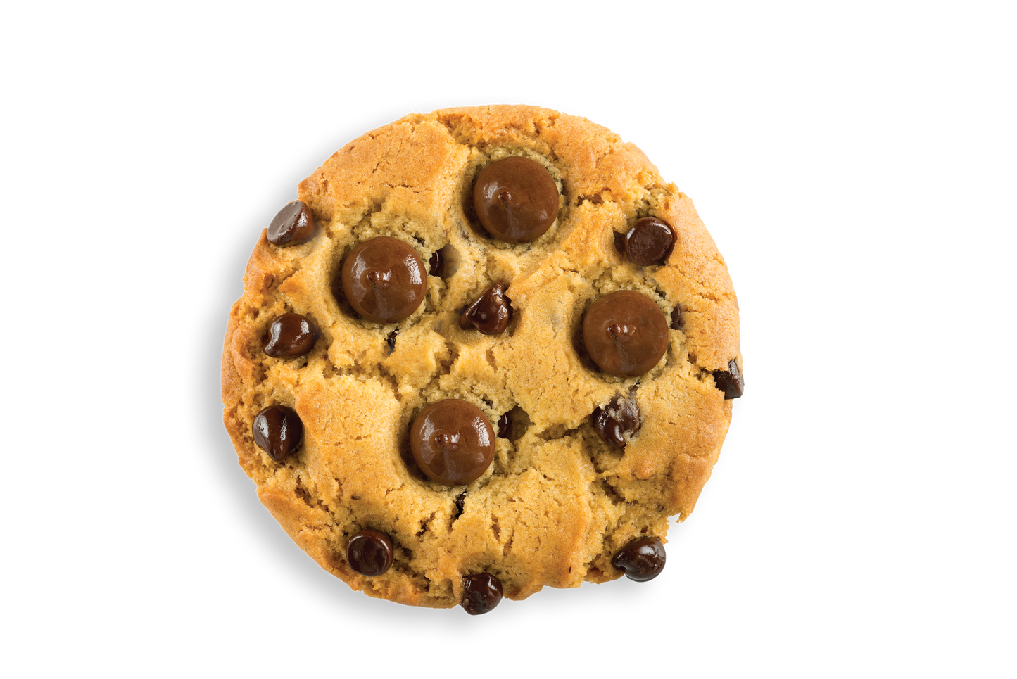 Chocolate Chip