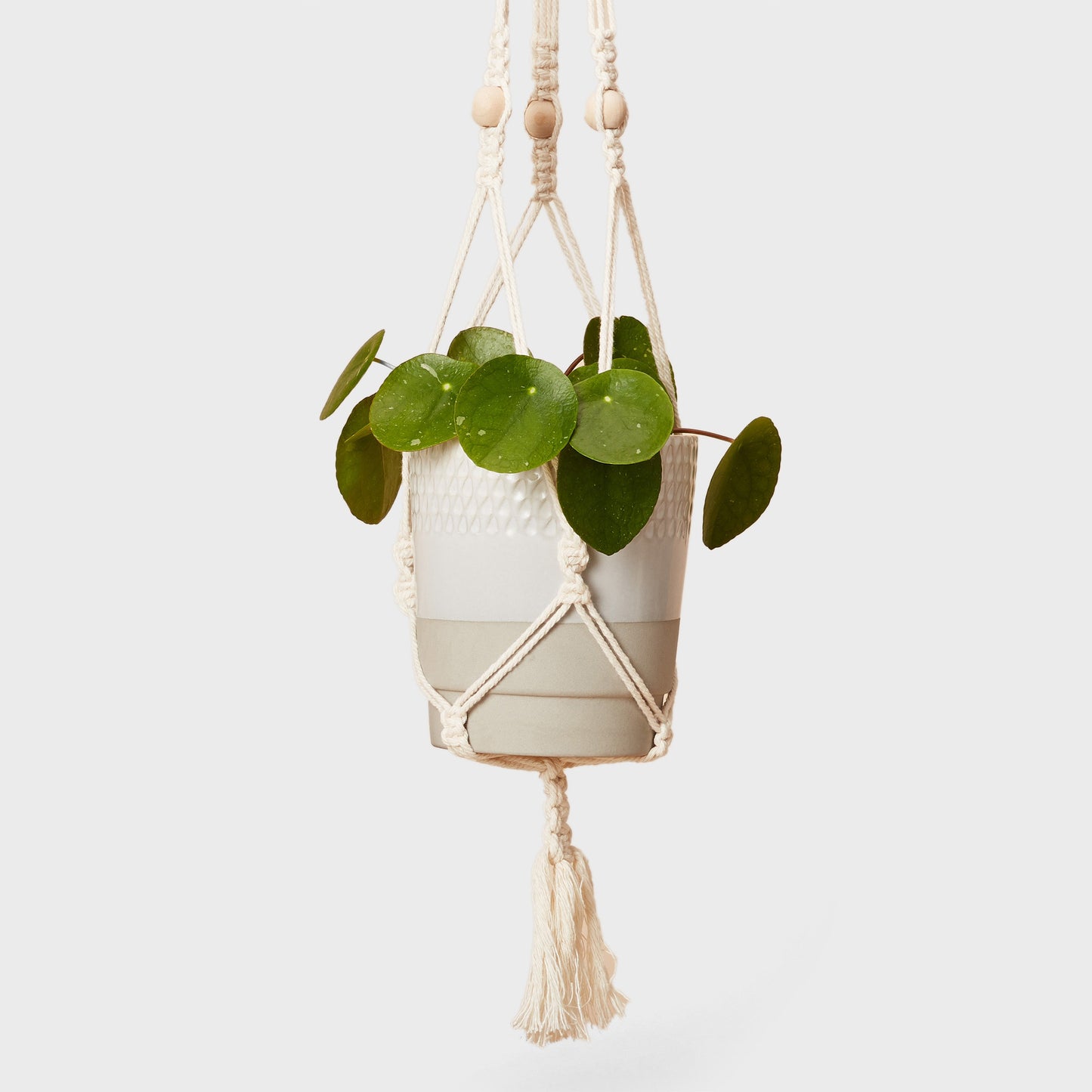 Calm Club - Hang Time Macrame Kit