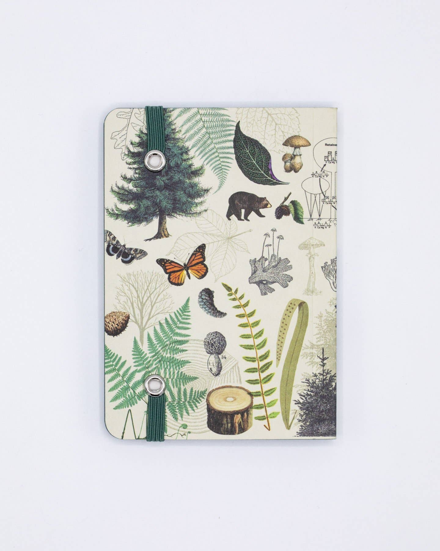 Into the Forest Observation Softcover Notebook