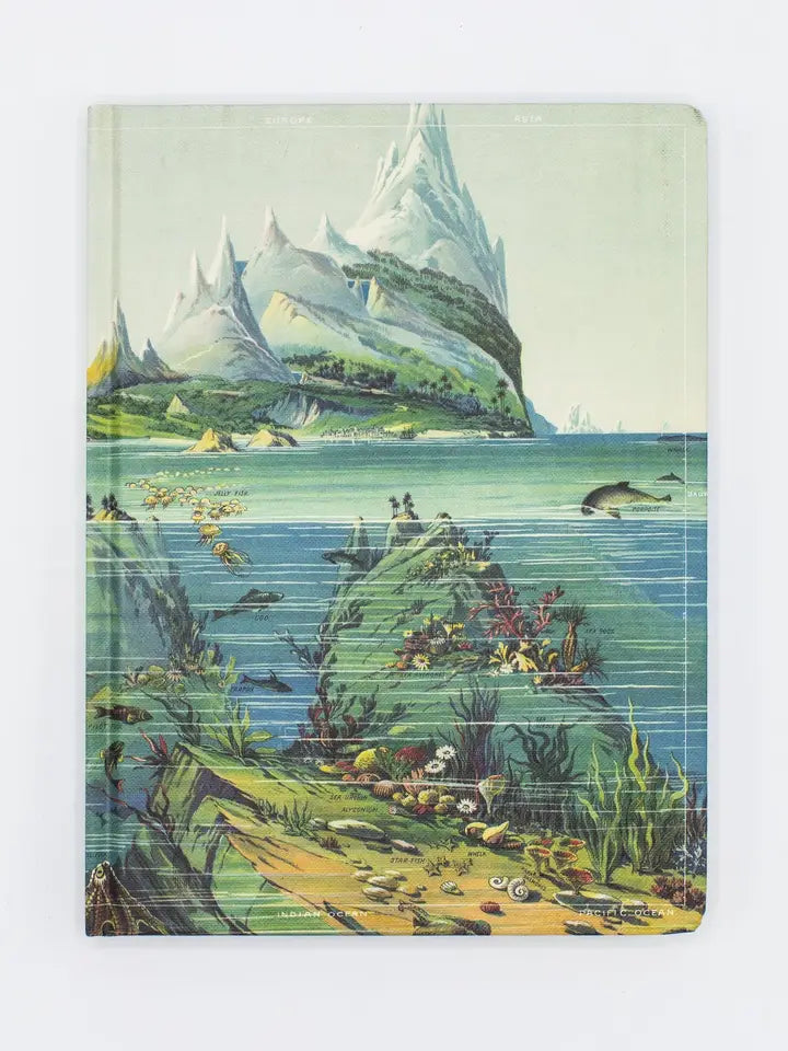 Descending Regions Hardcover Notebook