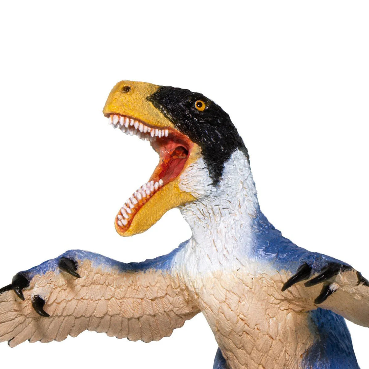 Utahraptor