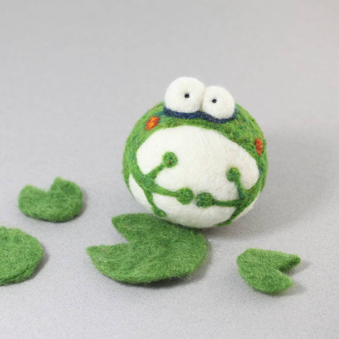 Needle Felting Frog Kit