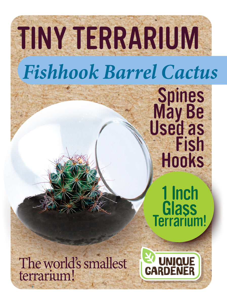 Tiny Terrarium Cactus Series 1