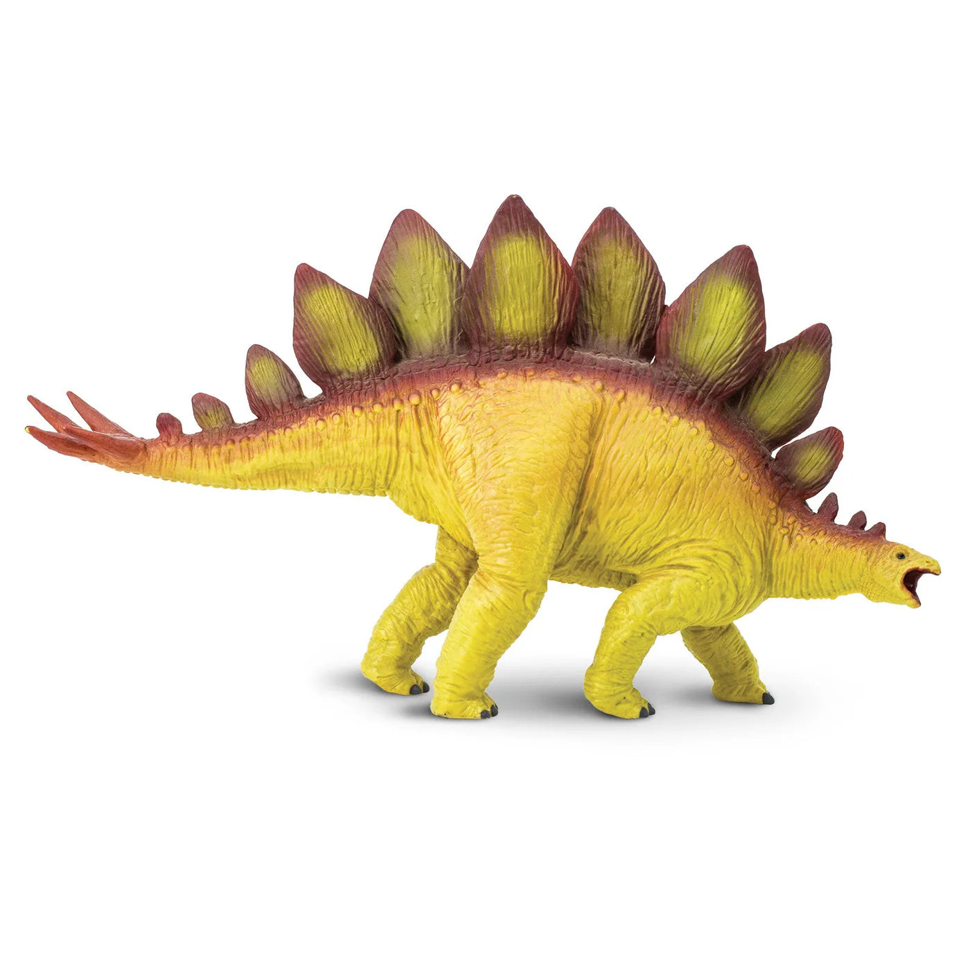 Stegosaurus Safari