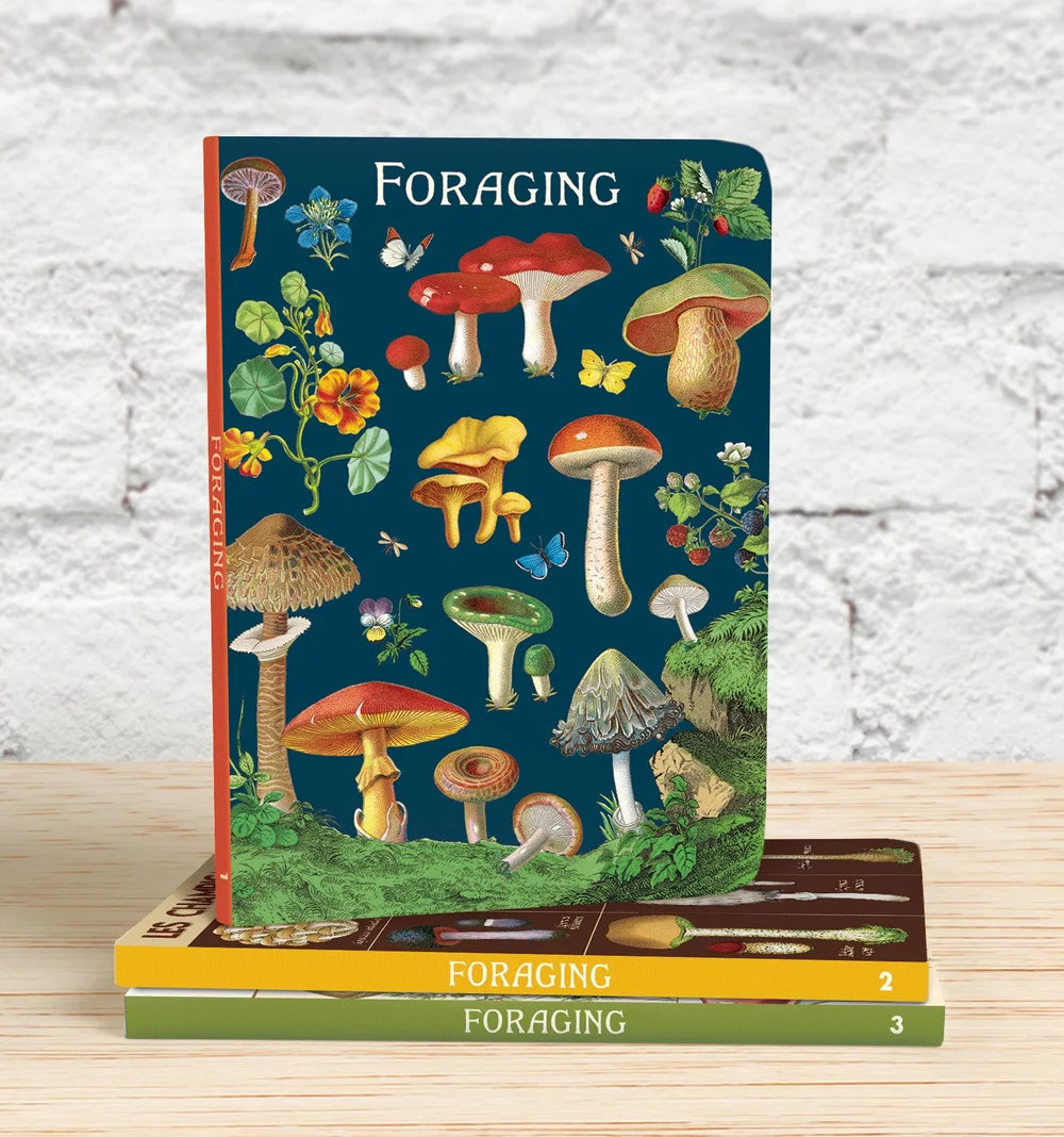 Cavallini Foraging Large Notebook - 8" x 6"