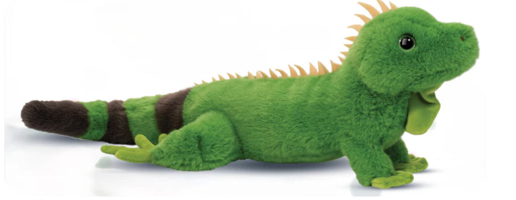 Buddie - Iguana