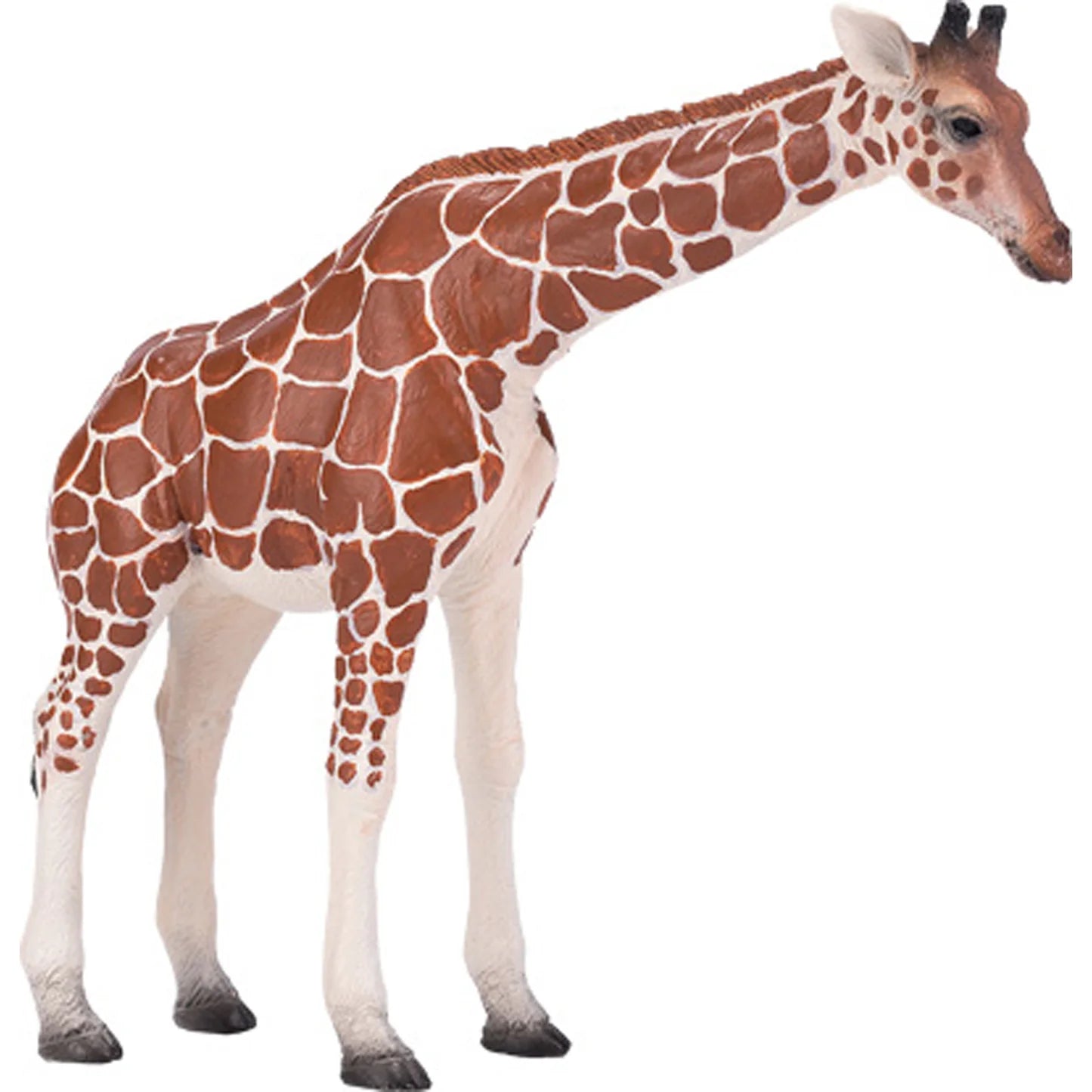 Mojo Giraffe Female