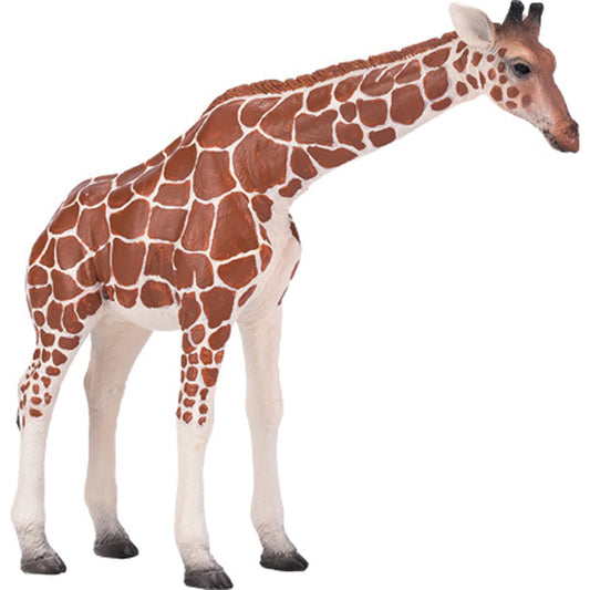 Mojo Giraffe Female