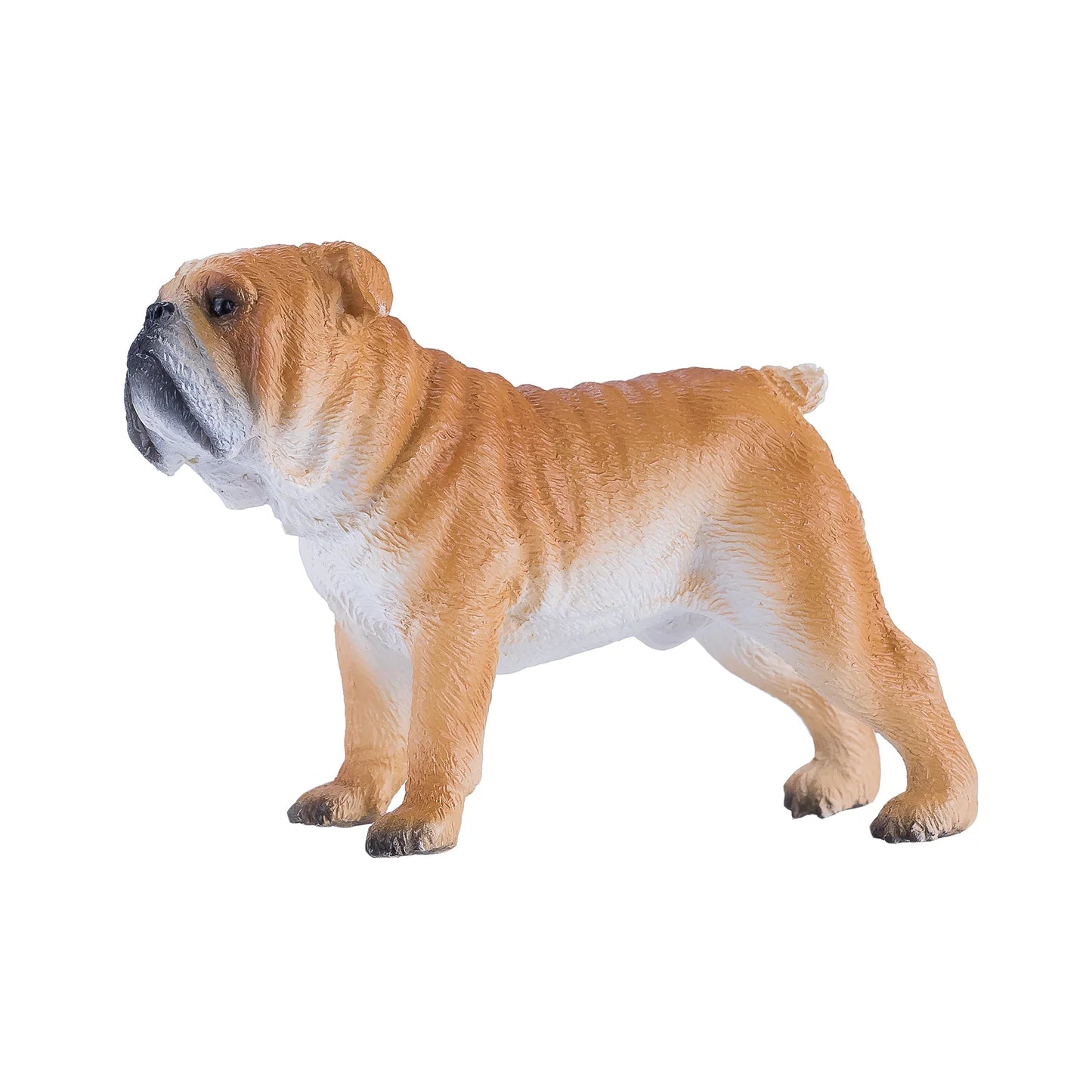 Mojo English Bulldog